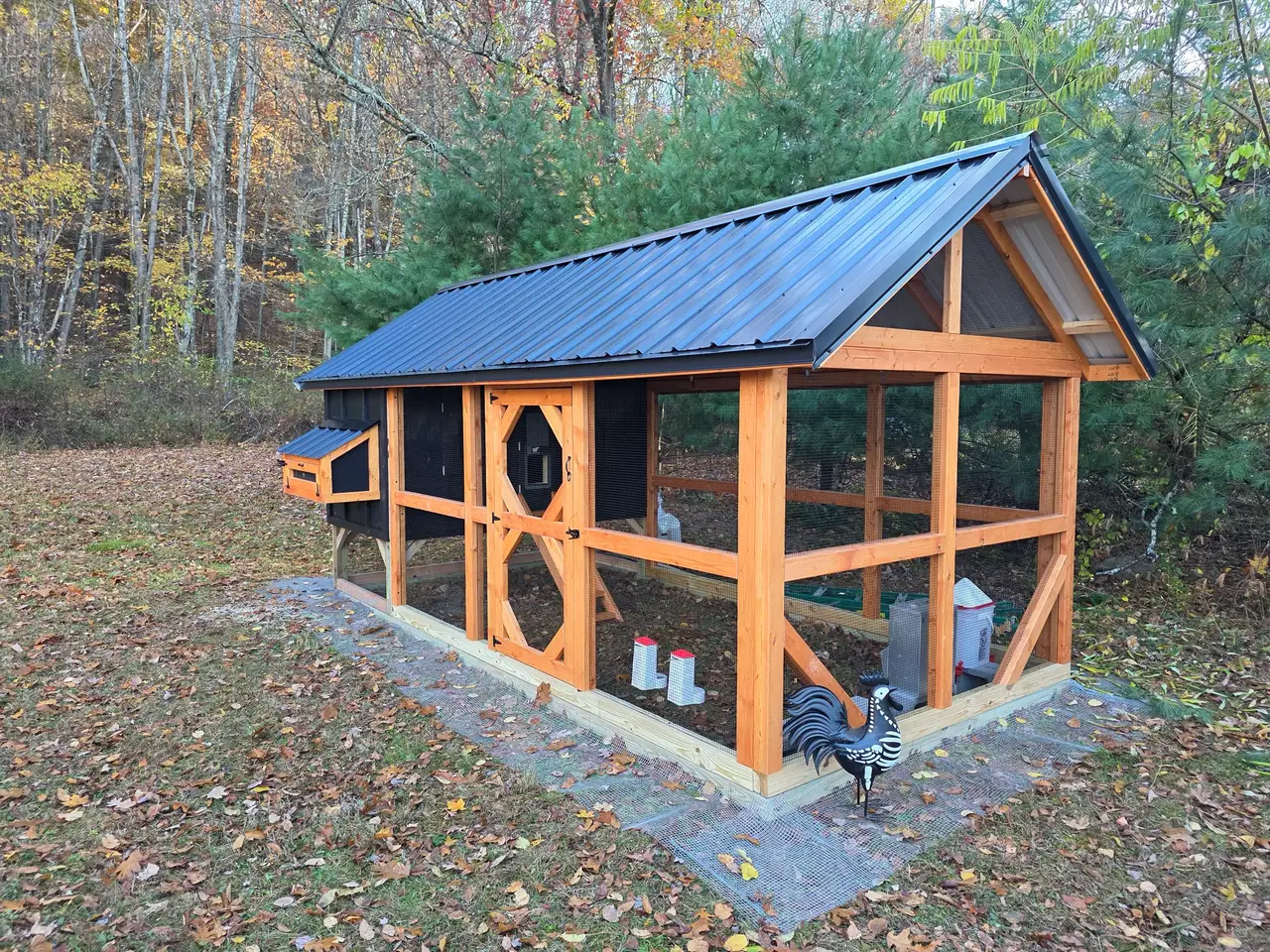 Custom predator-proof chicken coop with a metal roof and cedar run, built by Triano Farms in a wooded New Jersey backyard